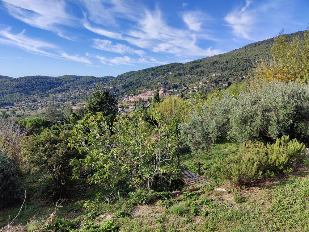 � vendre  Propri�t�/ch�teau Seillans (83440)