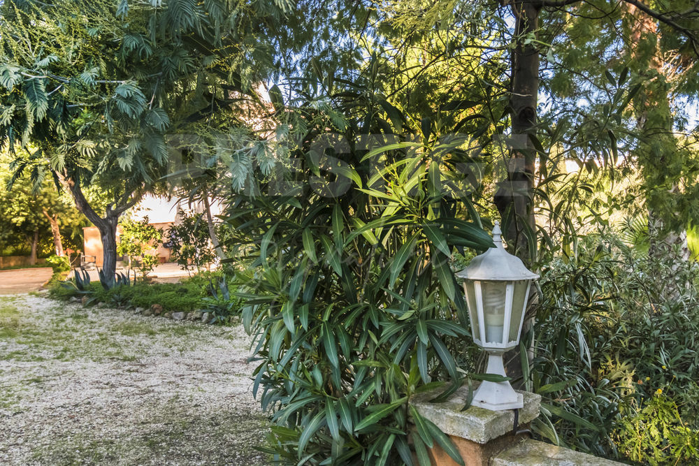 � vendre  Maison Hy�res (83400)