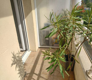  Appartement � vendre 1 pi�ce 18 m�