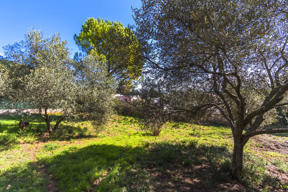 � vendre  Maison Le Cannet-des-Maures (83340)