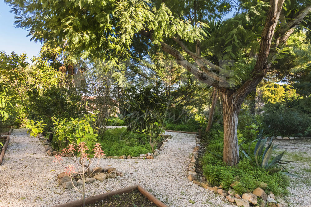 � vendre  Maison Hy�res (83400)