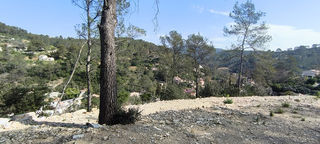  Terrain � vendre 1287 m�