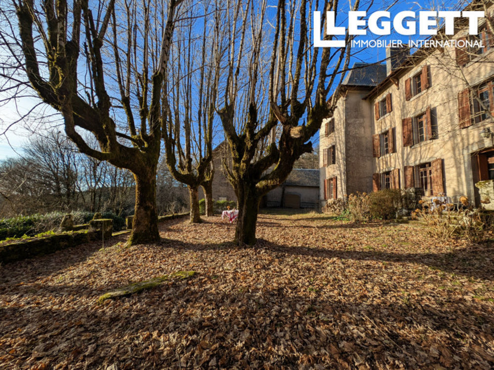 � vendre  Propri�t�/ch�teau Angl�s (81260)