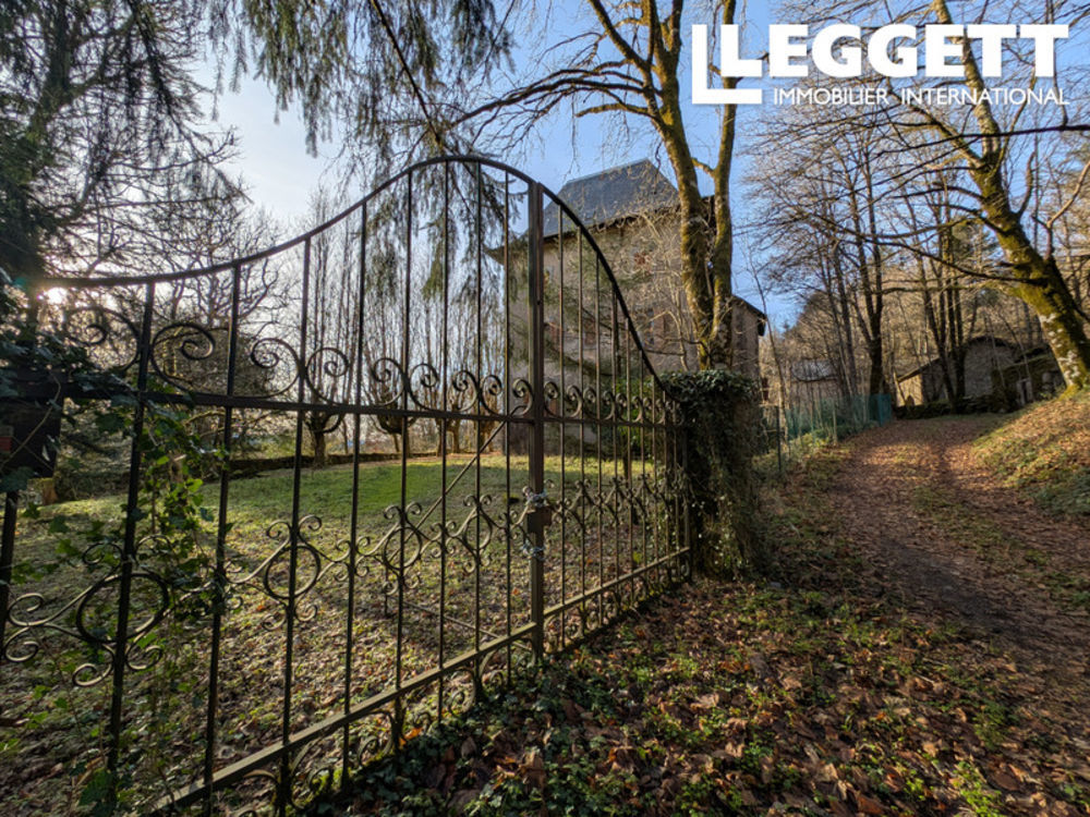 � vendre  Propri�t�/ch�teau Angl�s (81260)