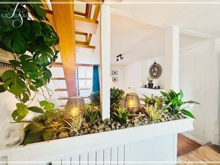  Appartement � louer 3 pi�ces 74 m�