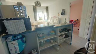  Appartement � louer 3 pi�ces 47 m�