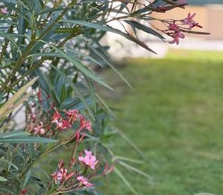  Maison � vendre 8 pi�ces 150 m�