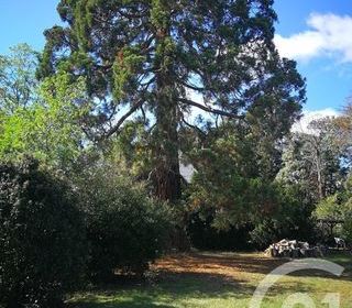  Appartement � louer 1 pi�ce 20 m�