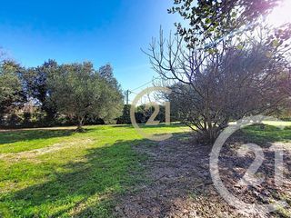  Maison � louer 4 pi�ces 96 m�