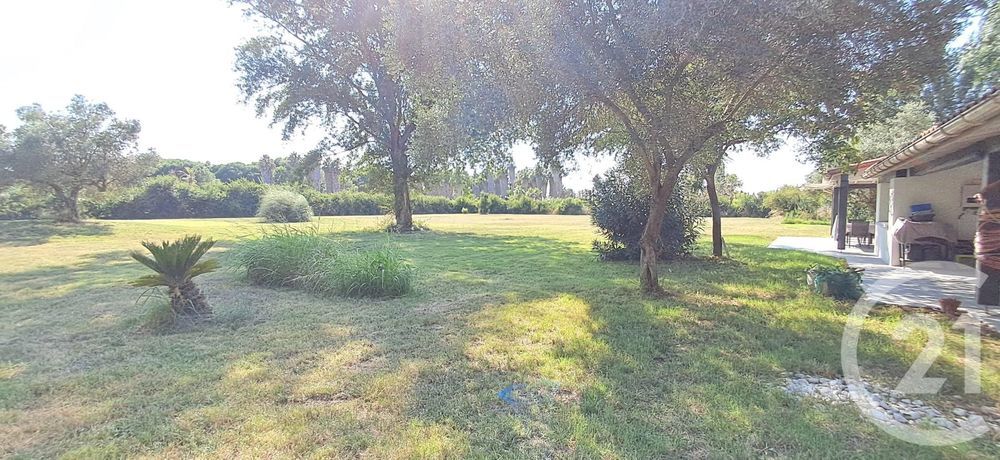 � vendre  Maison Saint-Cyprien (66750)