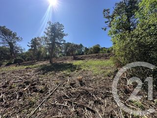  Terrain � vendre 4066 m�