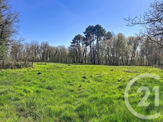  Maison � vendre 5 pi�ces 196 m�