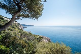  Maison � vendre 6 pi�ces 229 m�