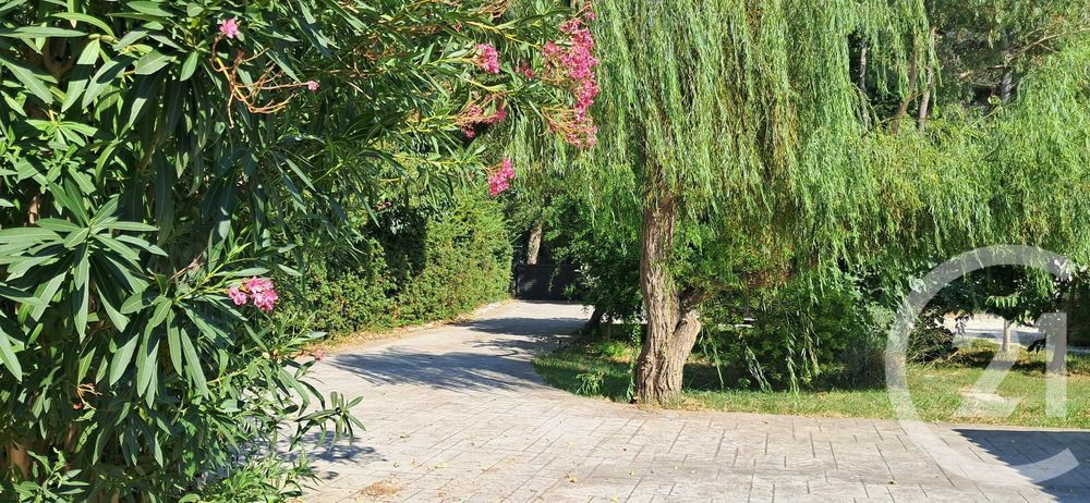 � vendre  Maison Saint-Cyprien (66750)