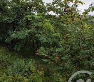  Terrain � vendre 719 m�