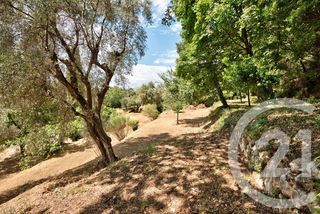  Terrain � vendre 11600 m�