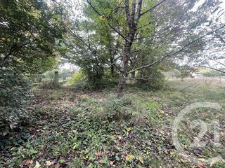  Terrain � vendre 2491 m�