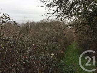  Terrain � vendre 40623 m�