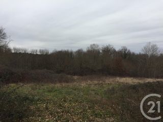  Terrain � vendre 40623 m�