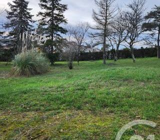  Terrain � vendre 1237 m�