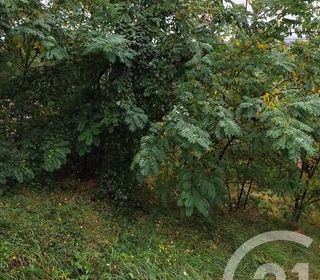  Terrain � vendre 719 m�