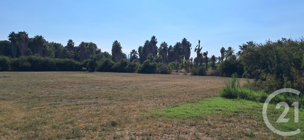 � vendre  Maison Saint-Cyprien (66750)