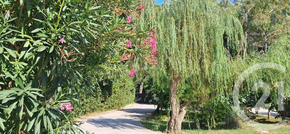 � vendre  Maison Saint-Cyprien (66750)