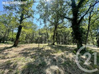  Maison � vendre 5 pi�ces 284 m�