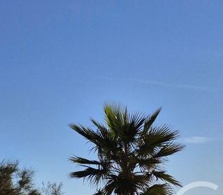  Appartement � vendre 1 pi�ce 26 m�