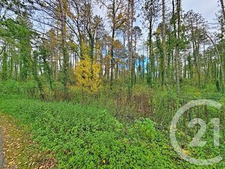  Terrain � vendre 45093 m�