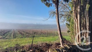  Maison � vendre 15 + pi�ces 1120 m�