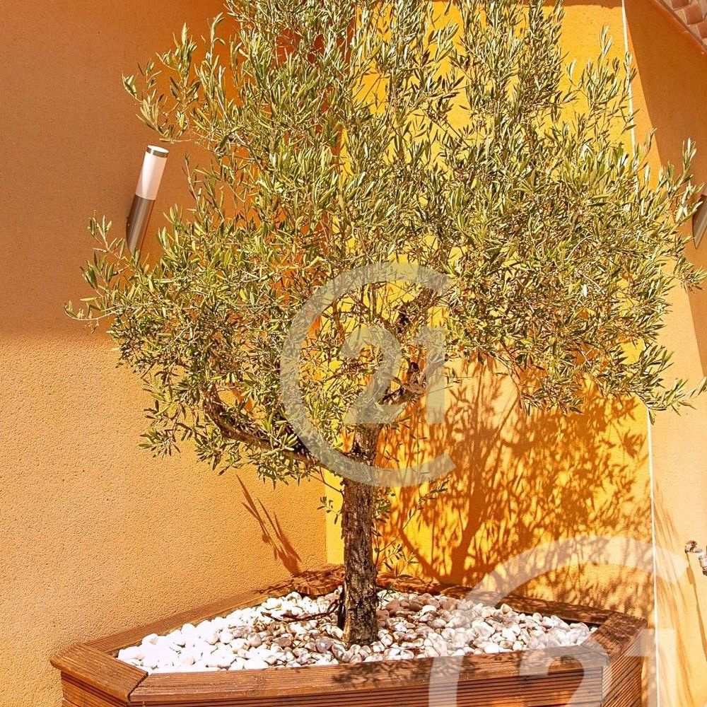 � vendre  Maison Beaucaire (30300)