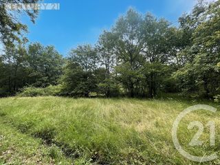  Terrain � vendre 5452 m�