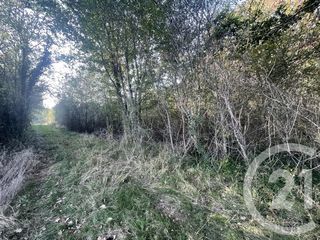  Terrain � vendre 40623 m�