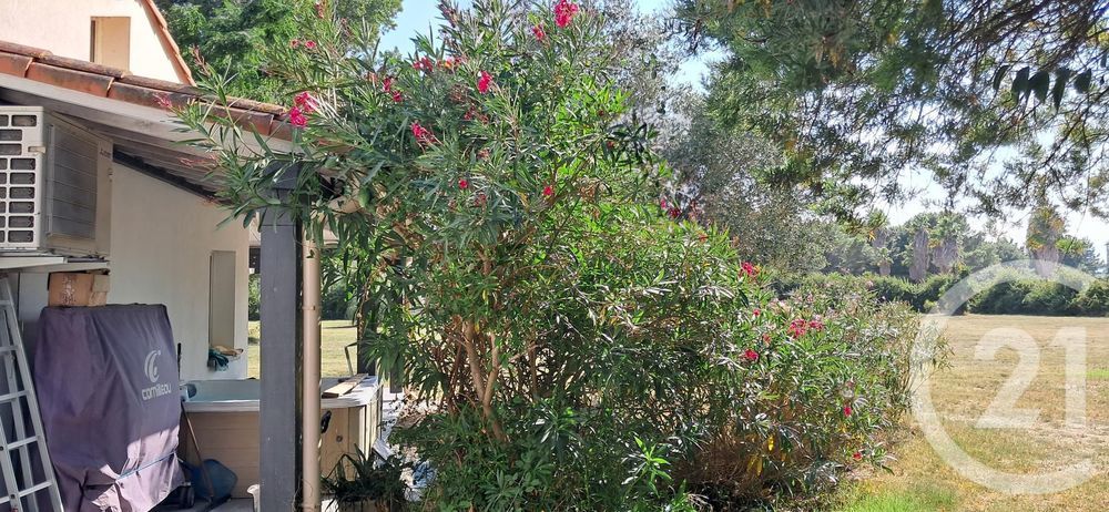 � vendre  Maison Saint-Cyprien (66750)