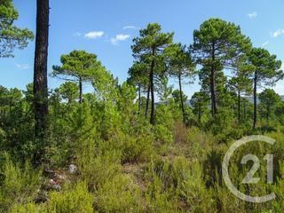  Terrain � vendre 7237 m�