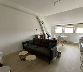  Appartement � louer 1 pi�ce 16 m�