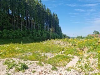  Terrain � vendre 919 m�