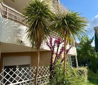  Appartement � vendre 2 pi�ces 46 m�