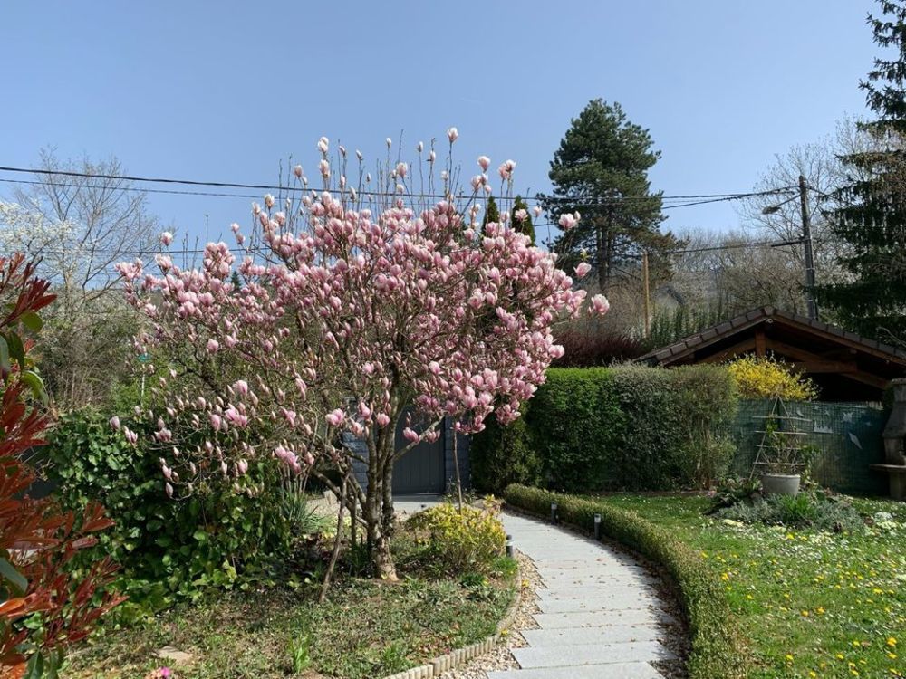 � vendre  Maison Cranves-Sales (74380)