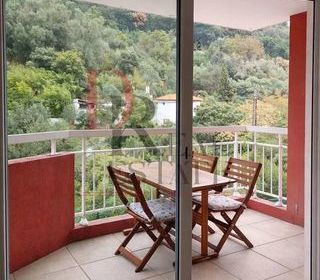  Appartement � vendre 2 pi�ces 42 m�