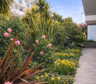  Appartement � vendre 3 pi�ces 60 m�