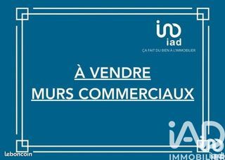  Immeuble � vendre 313 m�
