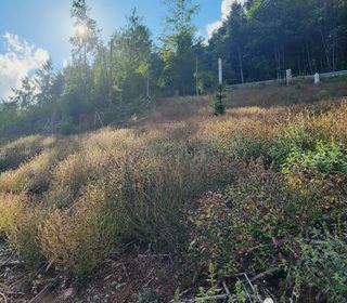  Terrain � vendre 1324 m�