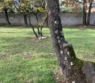  Terrain � vendre 757 m�