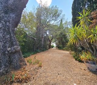  Maison � vendre 15 + pi�ces 957 m�