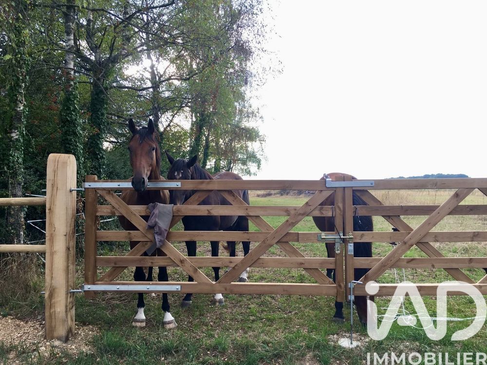 � vendre  Maison Nouzilly (37380)