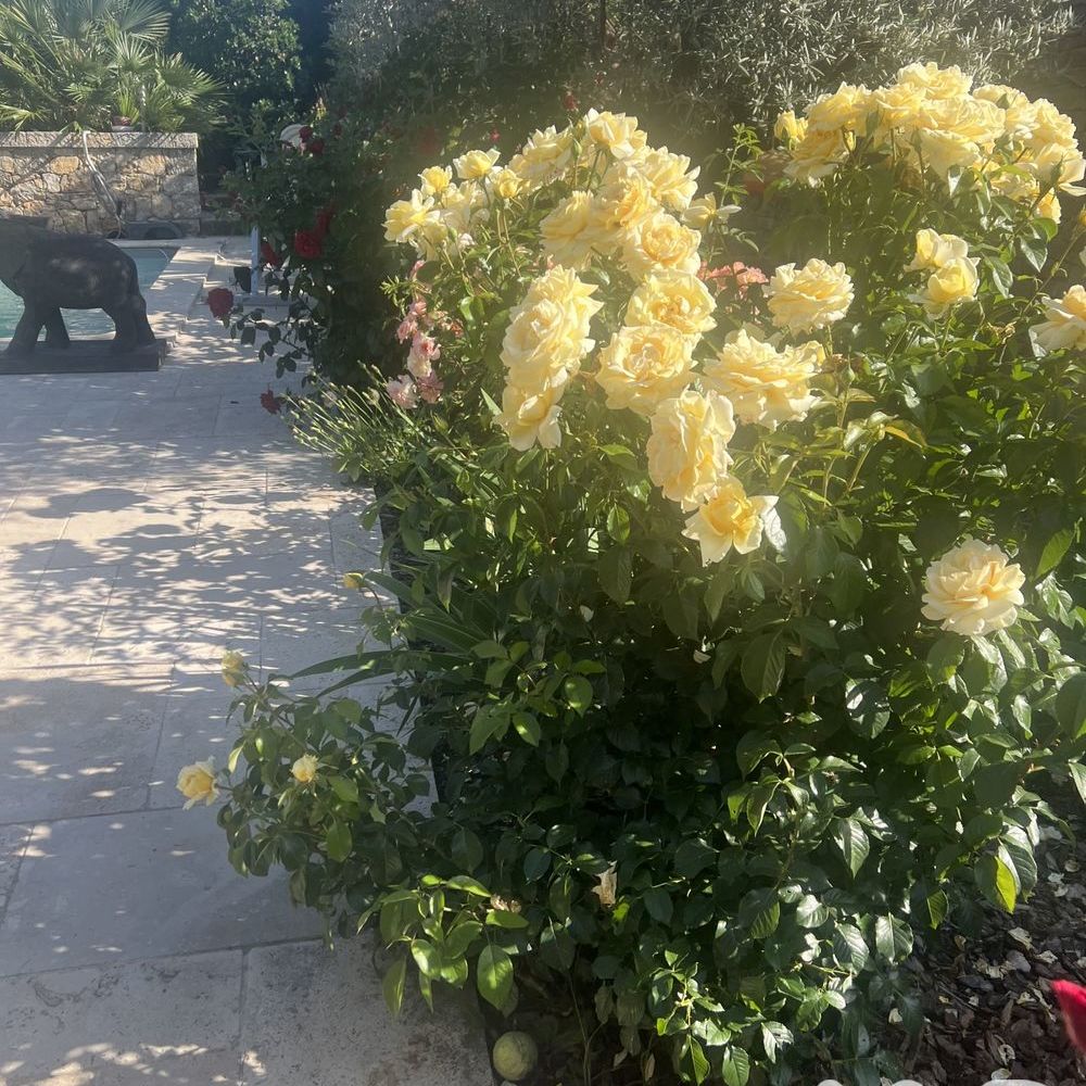 � vendre  Maison Lorgues (83510)