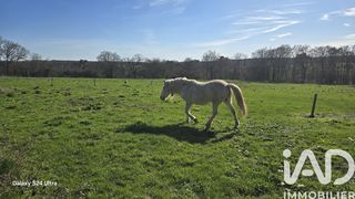  Maison � vendre 7 pi�ces 236 m�