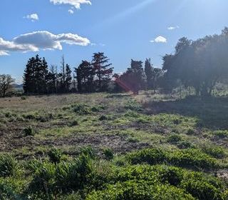  Terrain � vendre 6340 m�